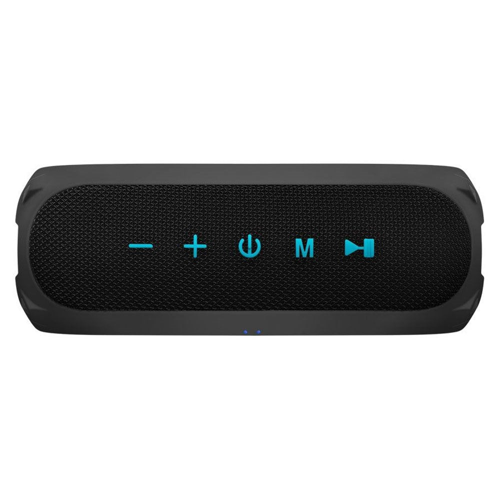 Niceboy RAZE 4 Radion 30W Bluetooth Speaker with FM Radio - Black