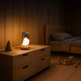 T'NB Night Light with White Noise Function - Tukan
