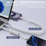 4smarts 100W USB-C to USB-C Cable - 50cm - White