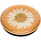 POPSOCKETS Pressed White Daisy Premium Holder and Stand