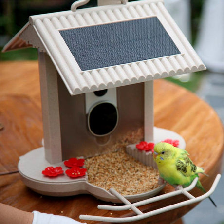 HiBirds WiFi Bird Feeder with Camera - Light Brown