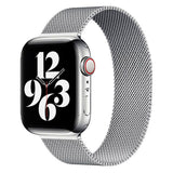 Lippa Apple Watch (38/40/SE/41/42mm) Magnetic Stainless Steel Strap - Silver