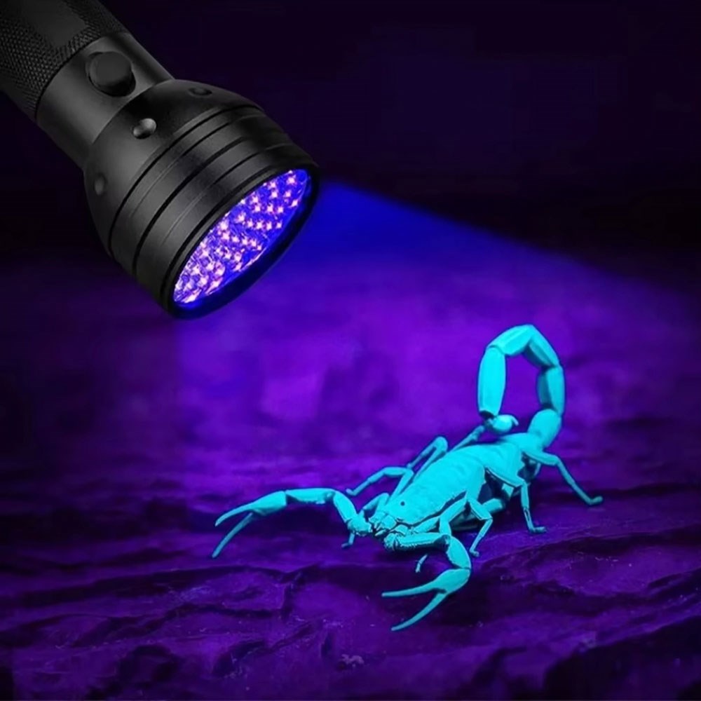 Wozinsky WLT-51L UV Flashlight for Trace Detection - Black