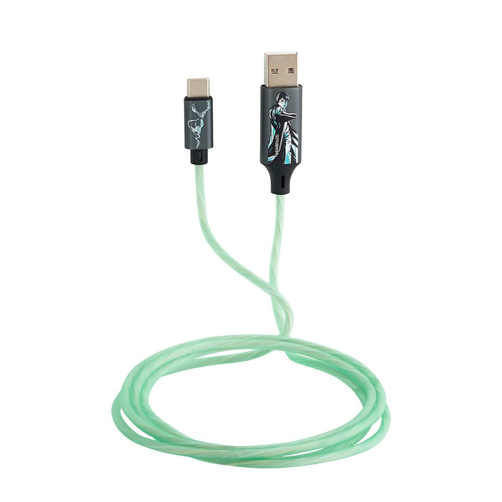 Harry Potter Light Up USB-A to USB-C Cable 1.2 Meter - Black / Green