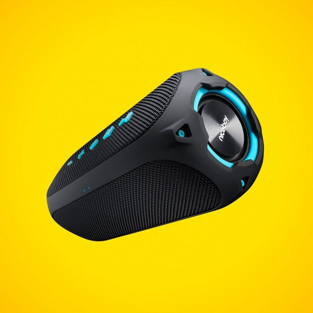 Niceboy RAZE 4 Radion 30W Bluetooth Speaker with FM Radio - Black