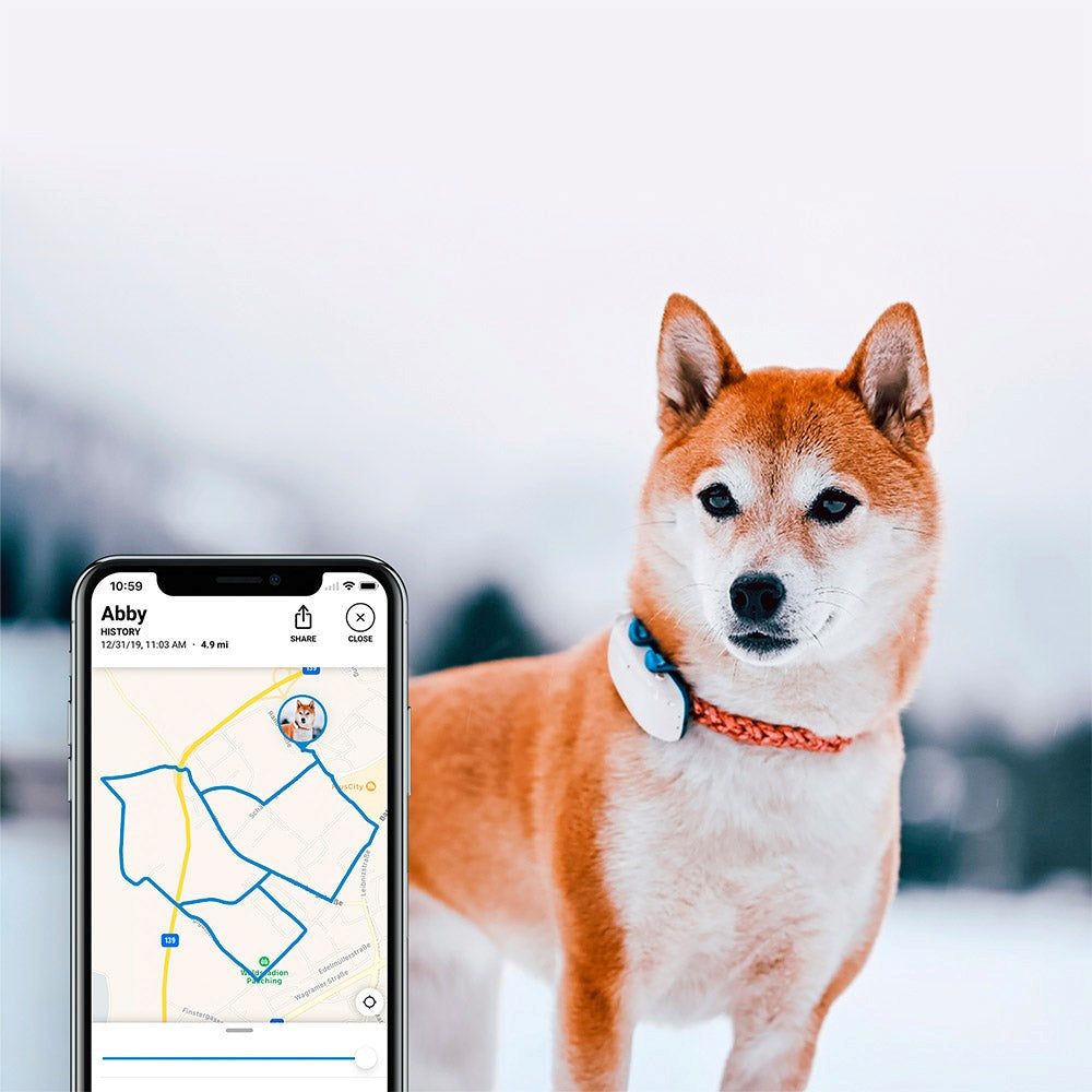 Tractive GPS Dog LTE - GPS & Bluetooth Tracker for Dogs - White