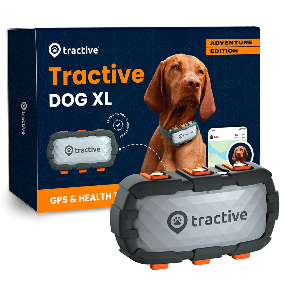 Tractive GPS Dog XL - GPS & Bluetooth Tracker for Dogs - Adventure Edition - Grey