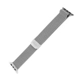 Apple Watch (42/44/SE/45/49mm) Fixed Mesh Strap - Silver